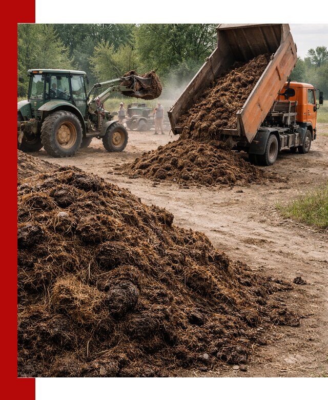 Доставка навоза самосвалами в Нерюнгри для сельхозпотребностей
